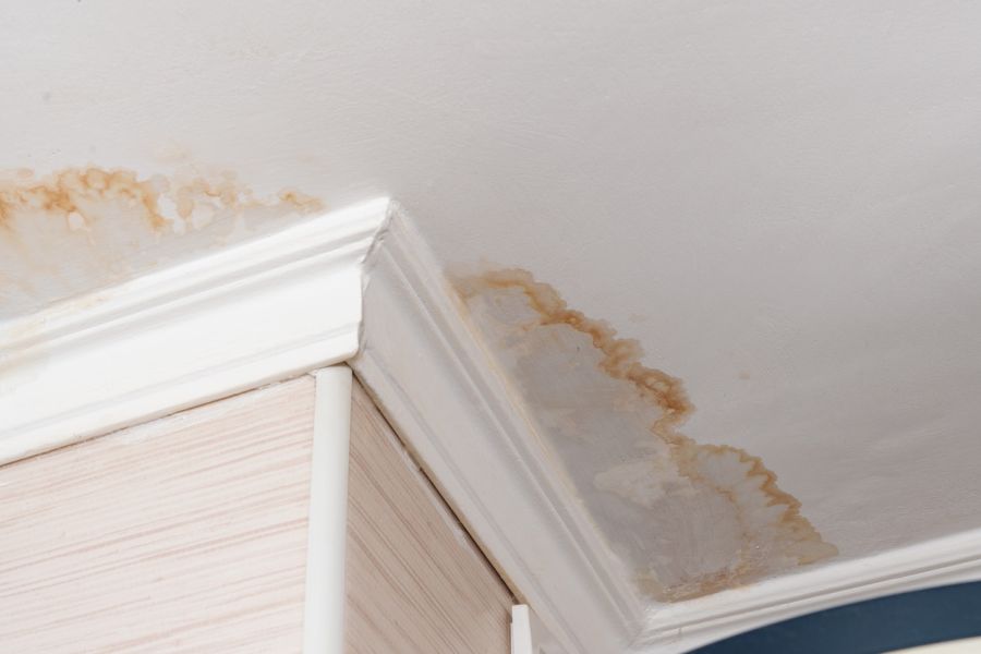 Water Damage Claim Adjusting in Pinopolis, South Carolina by All Dry Services of Mount Pleasant & Greater Charleston
