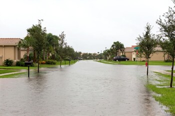 Flood Damage Restoration in Isle of Palms, South Carolina by All Dry Services of Mount Pleasant & Greater Charleston