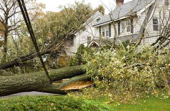 Storm Damage Claims in Goose Creek, South Carolina by All Dry Services of Mount Pleasant & Greater Charleston