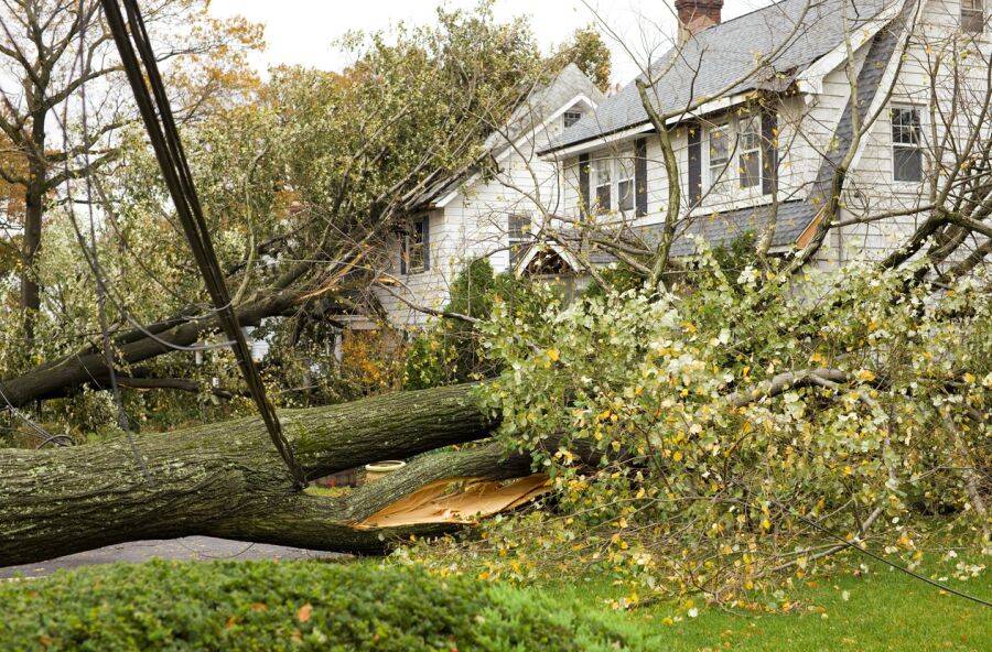 Storm Damage Claims by All Dry Services of Mount Pleasant & Greater Charleston