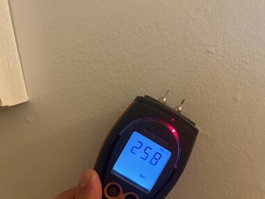 Mold Inspection in Mount Pleasant, SC (1)